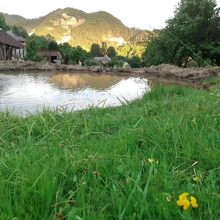 Cozy Sejour Casuta Mountain Sanctuary Rosia Montana