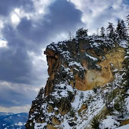 Летний дом Cozy Sejour Casuta Mountain Sanctuary