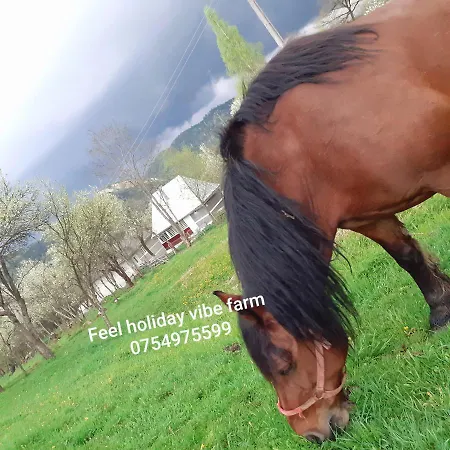 Cozy Sejour Casuta Mountain Sanctuary * Rosia Montana