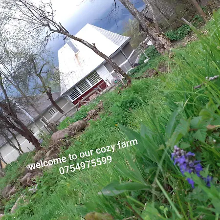 Летний дом Cozy Sejour Casuta Mountain Sanctuary