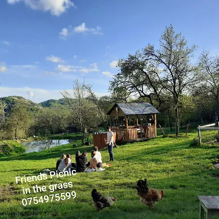 Cozy Sejour Casuta Mountain Sanctuary Летний дом