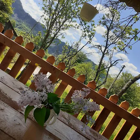 Cozy Sejour Casuta Mountain Sanctuary *