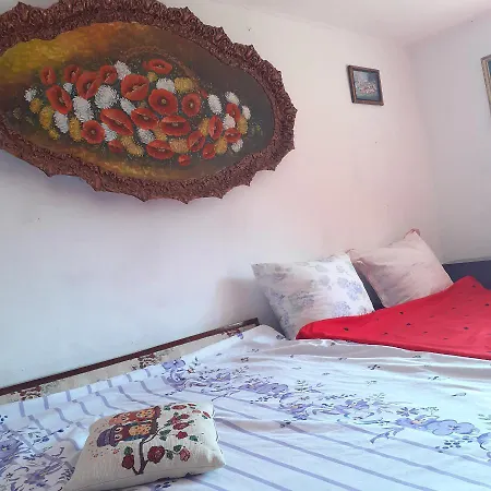 Cozy Sejour Casuta Mountain Sanctuary Rosia Montana
