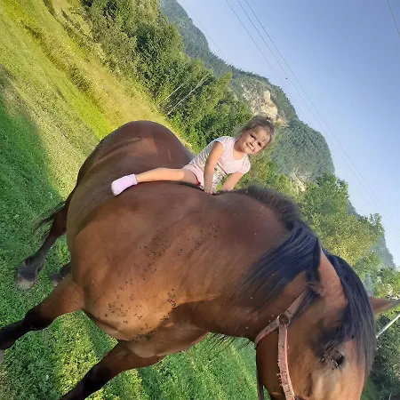 Летний дом Cozy Sejour Casuta Mountain Sanctuary Rosia Montana