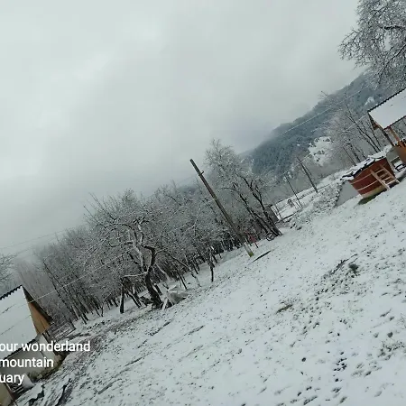 Gospodarstwo wiejskie Cozy Sejour Casuta Mountain Sanctuary