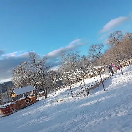 Летний дом Cozy Sejour Casuta Mountain Sanctuary *