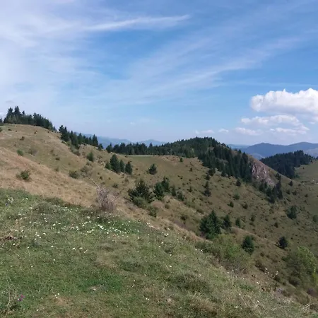 Gospodarstwo wiejskie Cozy Sejour Casuta Mountain Sanctuary